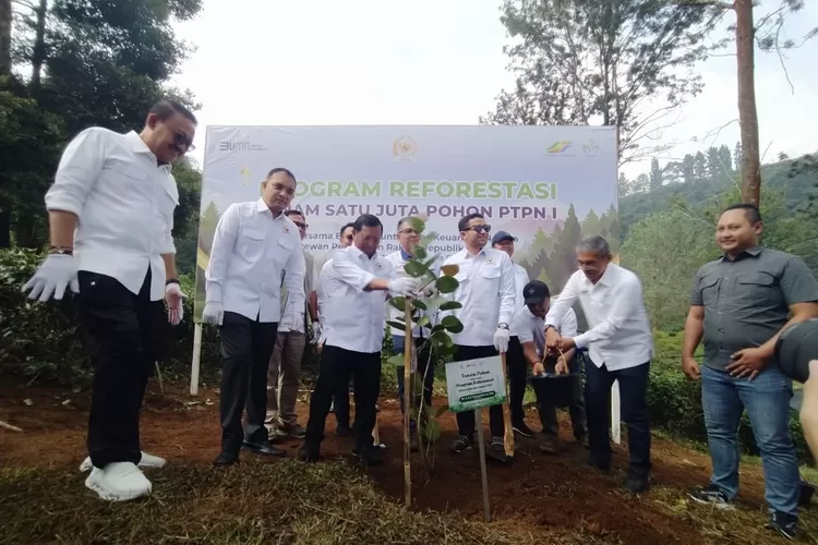 Peluncuran program penanaman satu juta pohon di kawasan Puncak Bogor, khususnya di Agrowisata Gunung Mas, Kecamatan Cisarua, Kabupaten Bogor, Jumat, 2 Mei 2025. (Rizal)