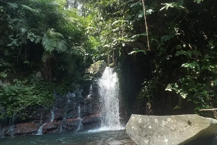 Buat kamu yang ingin menelusuri keindahan alam Bogor, nih daftar curug hidden gem yang masih alami surga alam mempesona (Google Review/Ahmad riza Ibrahim)