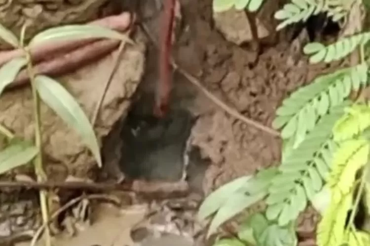 Kemunculan air mendidih di Kampung Mengker, Desa Sirnagalih, Kecamatan Jonggol, Kabupaten Bogor. (Tangkapan layar)