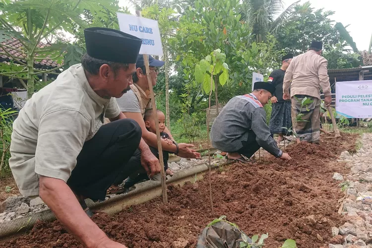 Proses penghijauan lewat penanaman pohon yang dilakukan para pengurus LazisNU.  (Ali Metropolitan)