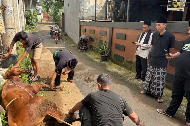 NU Care - Lazisnu Kota Depok saat menyebelih hewan kurban titipan masyarakat untuk dibagikan ke mustahik. (Ist)