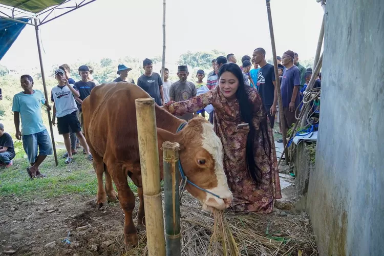 Anggota DPRD Kota Bogor, Rezky Kartika menyerahkan bantuan sapi kurban untuk warga Cipaku di momen Idul Adha 1446 H. 