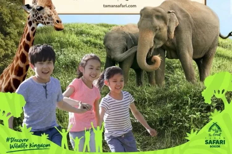 Taman Safari Bogor hadirkan promo Early Bird hanya dengan harga tiket Rp175 ribu. Akan menambah keseruan masa liburan (ist)