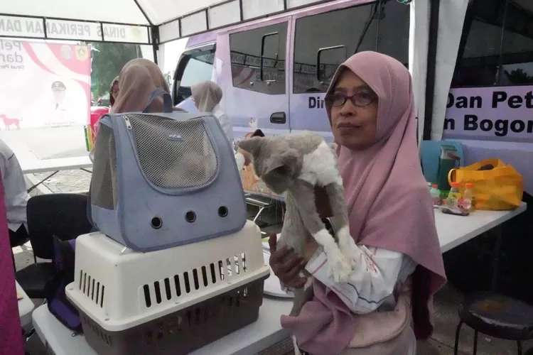 Pengunjung memeriksa kesehatan hewan peliharaannya di Kabogorfest 2025 di Stadion Pakansari, Cibinong, Kabupaten Bogor, Sabtu, 14 Juni 2025. (Diskominfo)