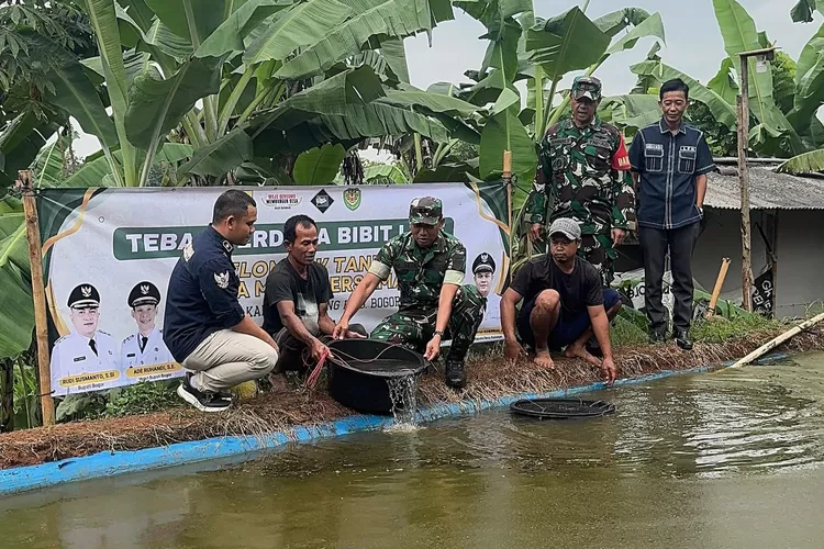Momen penebaran benih ikan lele perdana yang dilakukan Dandim 0621 Kabupaten Bogor, Letkol Inf Henggar Tri Wahono bersama Kades Babakan, Marwan Suherwan di salah satu kelompok tani yang ada di Desa Babakan, Kecamatan Ciseeng. 