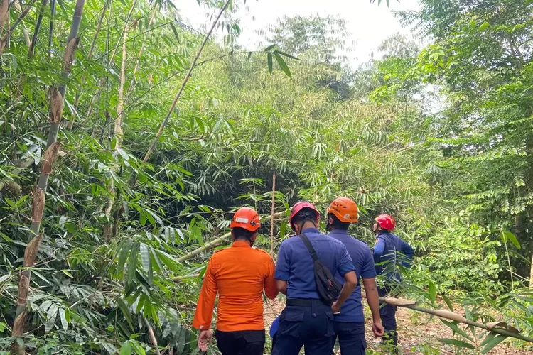 Petugas saat mencati kawanan monyet liar di Kemang, Kabupaten Bogor. (BPBD)