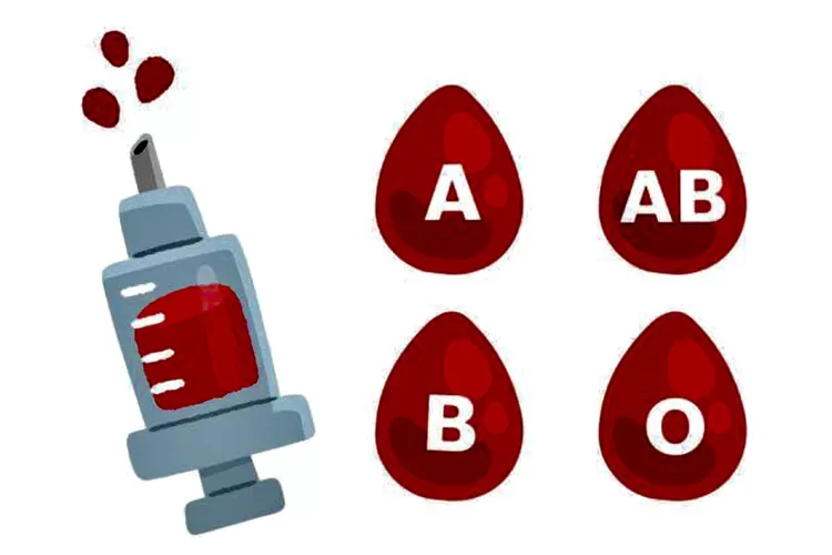 Yuk cari tahu cara cek golongan darah di HP (Freepik)