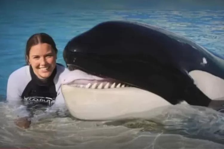 Jessica Radcliffe Meninggal Dunia karena Dimakan Paus Orca.