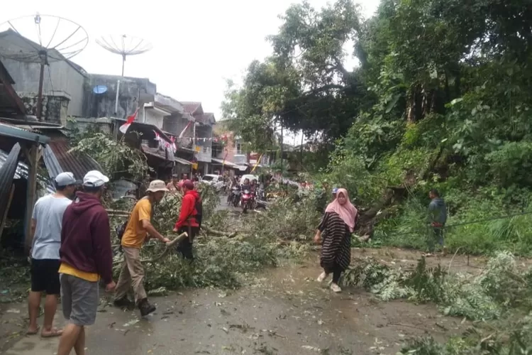 Kondisi pohon tumbang di Jalan Baros-Cibuni, Kecamatan Cidadap, Kabupaten Sukabumi pada Kamis, 14 Agustus 2025.  (Usep Mulyana Metropolitan)