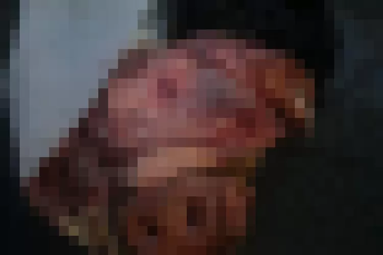 Viral di media sosial, seorang konten kreator di Bogor dikirimi paket misterius berisi kepala babi (Instagram/@walikonten)