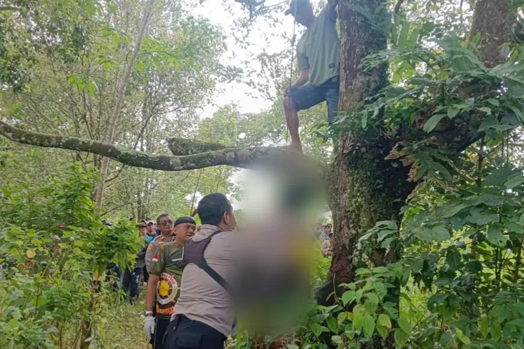 Petugas melakukan evakuasi terhadap jasad yang ditemukan tewas tergantung di dahan pohon durian di Sukabumi.  (Ist)