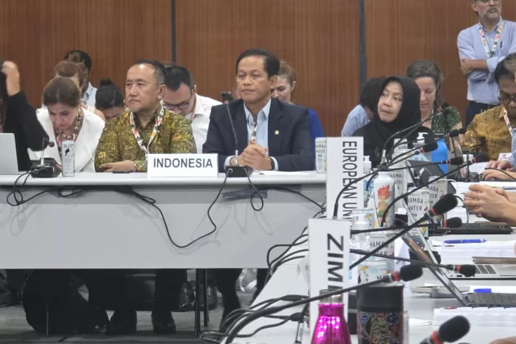 Delegasi Indonesia dalam COP30 tegaskan sikap soal Pembiayaan Iklim oleh negara maju (Ist)