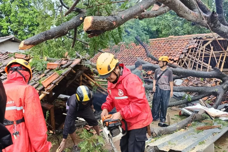 Petugas BPBD Purwakarta bersama relawan saat menangani peristiwa pohon tumbang yang terjadi di Kampung Sindang, Desa Cijantung, Kecamatan Sukatani, Selasa 18 November 2025. (Dok: BPBD)