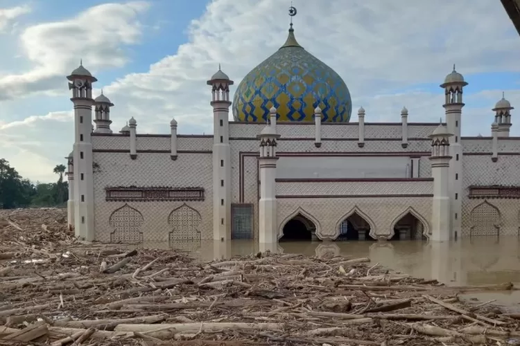 Pilu Desa Sekumur hilang di Aceh Tamiang tertimbun banjir badang, menyisakan masjid (Facebook @MeldiyaReza)