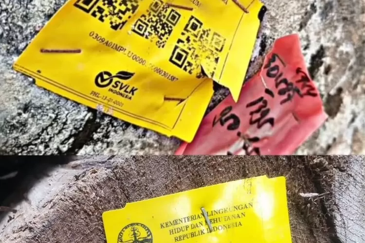 Klarifikasi Menhut terkait kayu gelondongan yang ada logo Kemenhut di Lampung (Instagram)