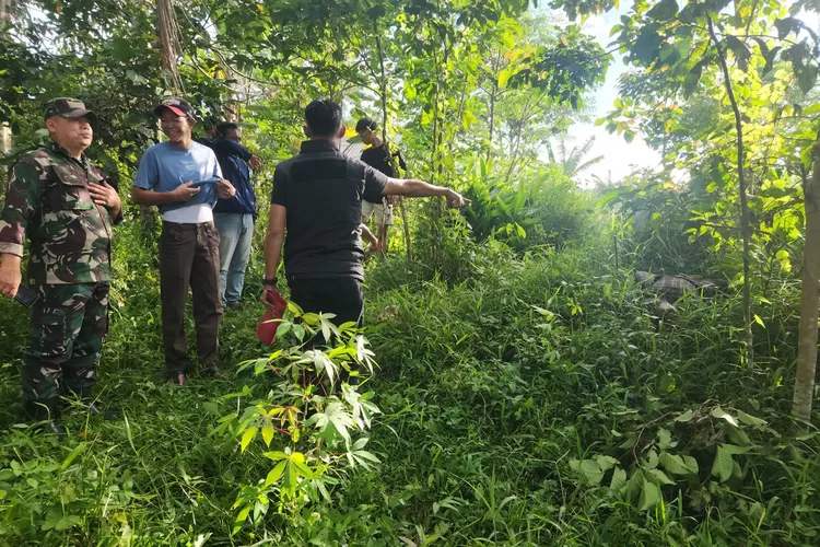 Petugas melakukan olah TKP penemuan mayat pria dengan kondisi sudah membusuk di Kampung Cihuni, Desa Sempur, Kecamatan Plered, Kabupaten Purwakarta  (Dok: Polsek Plered)
