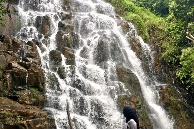 Cukup Buluh.Disbupar Lahat 