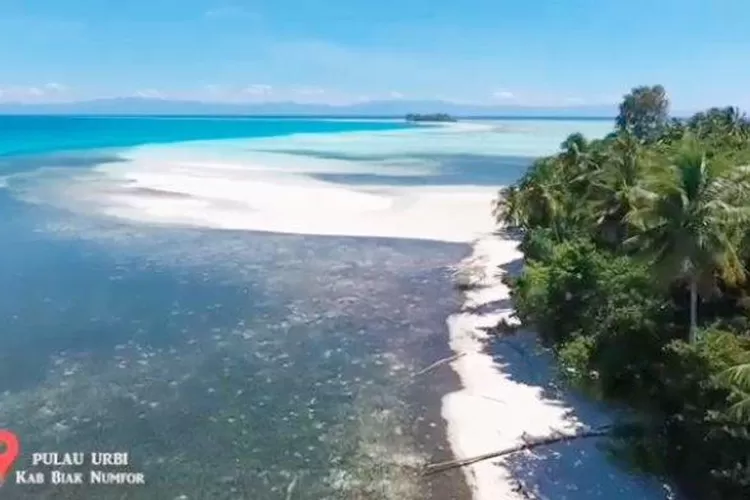 Keindahan Pulau Urbi di Kepulauan Padaido (Facebook Humas Pro_Biak   )