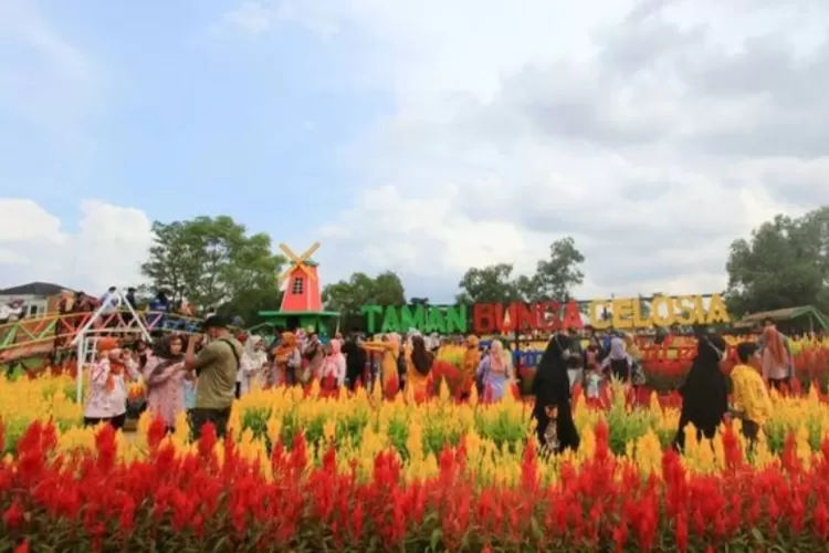 Taman Bunga Celosia yang Instagramable di Palembang (instagram/@pariwisata.palembang)