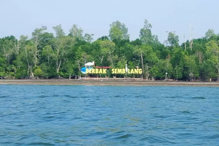 Taman Nasional Sembilang (instagram/@imam_suprianto)