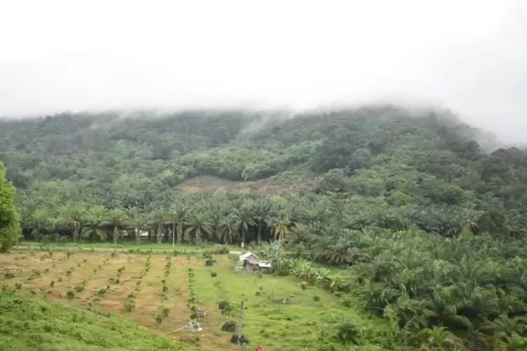 Bukit Cogong tersembunyi di bawah awan (instagram/@linggaukerja)