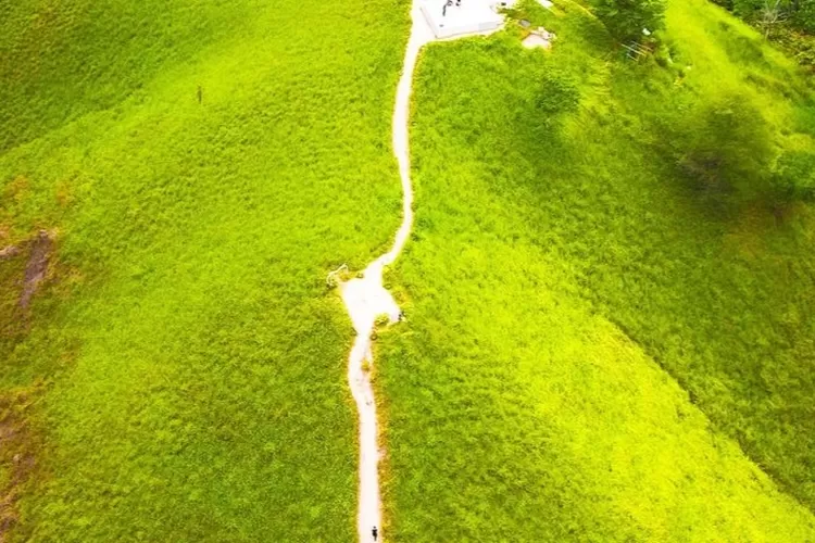 Bukit Botak di Musirawas (dok)
