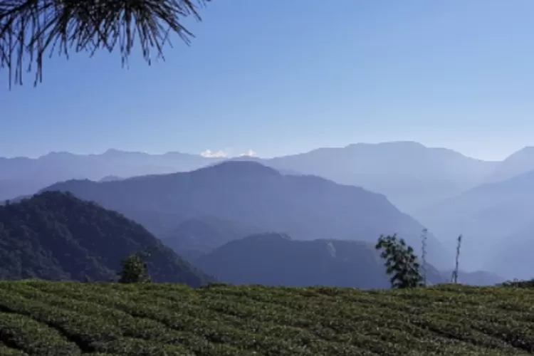 Pesona Wisata Alam di Kabupaten Manggarai Barat/() (ilustrasi/@pixabay)