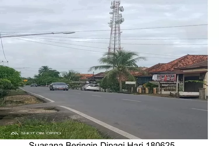suasana desa Beringin Lubai (dok)