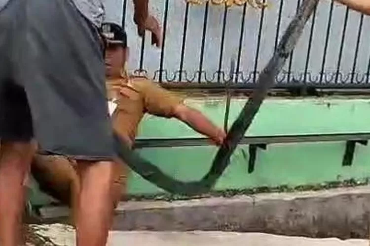 Berikut kronologi video viral Lurah Perintis, Medan, Fadli, didorong ke parit oleh warganya sendiri. (Net)