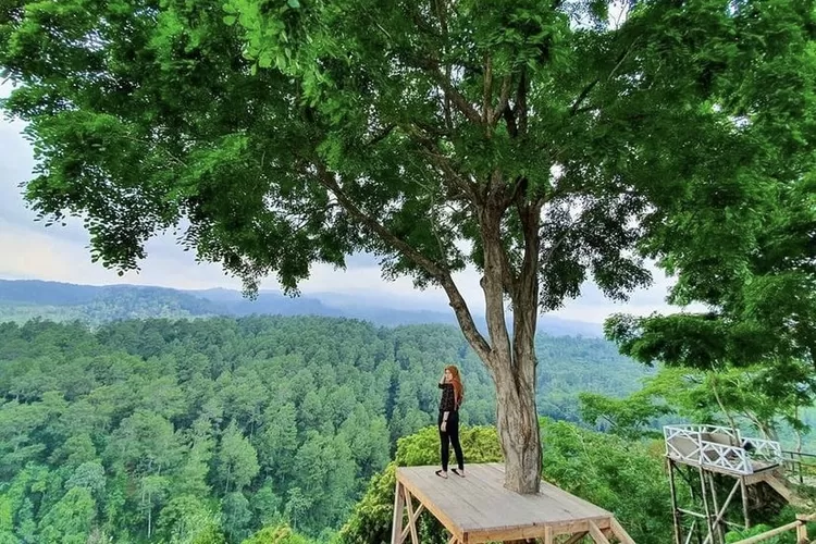 Wisata Gunung Ciwaru di Majalengka, Jawa Barat (instagram @gunungciwaru)