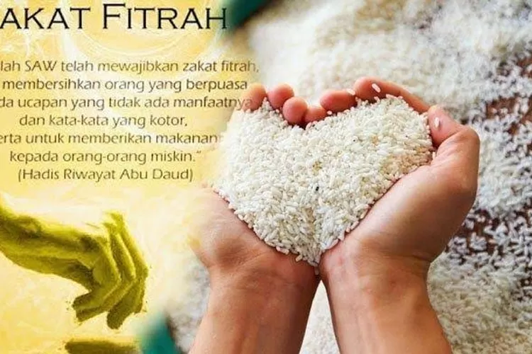 ilustrasi zakat fitrah 