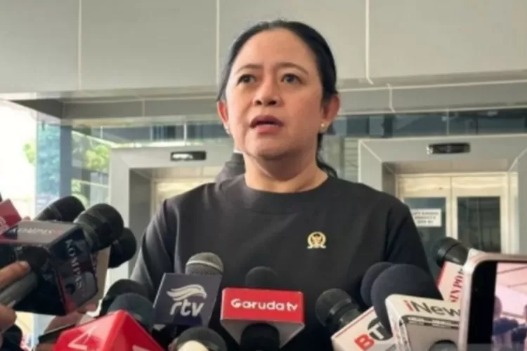 Ketua DPR RI Puan Maharani 