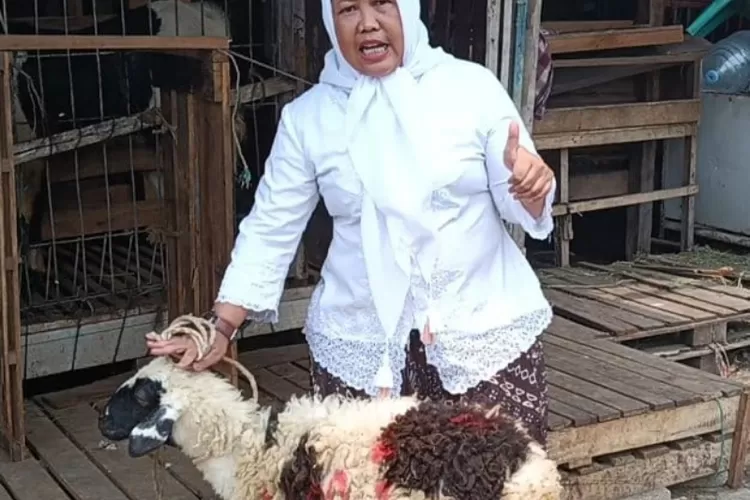 Umi Syarifah Pimpinan Redaksi Sudut Pandang