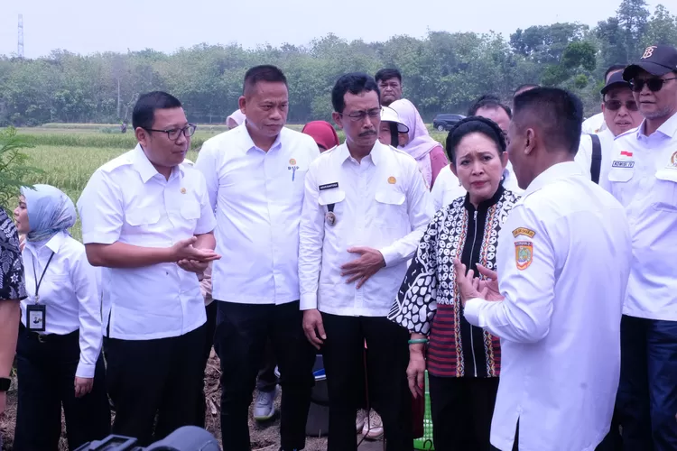 Komisi IV DPR Tinjau Program Pompanisasi Kementan di Sukoharjo