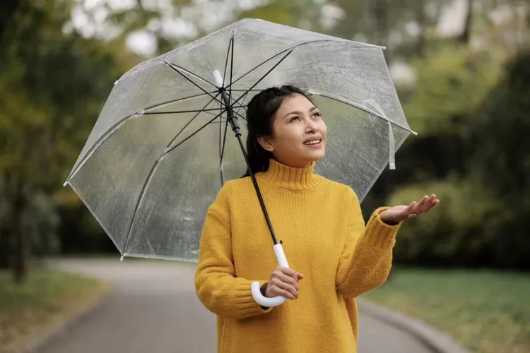 lustrasi meminimalisir curah hujan dengan modifikasi cuaca. (freepik/freepik)