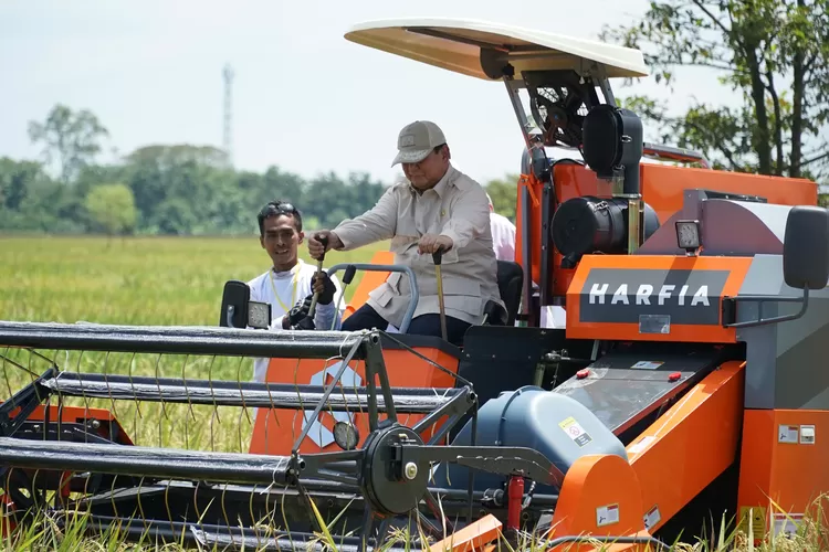Presiden Prabowo Panen Raya Padi Serentak 14 Provinsi' di Majalengka, Jawa Barat