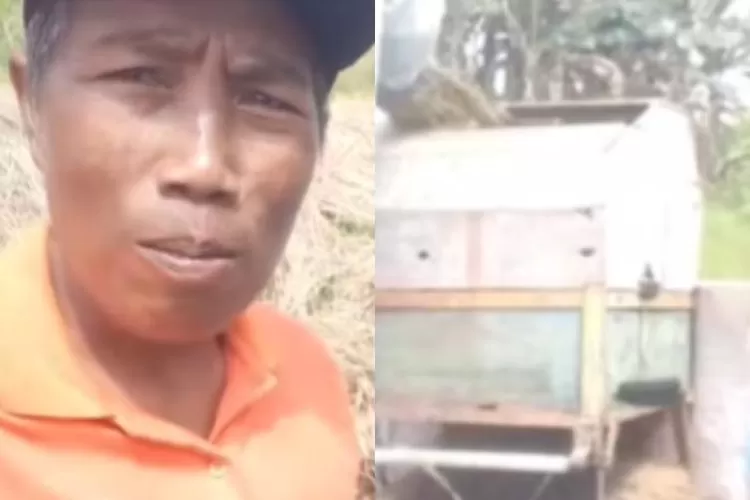 Potret video viral petani asal Kabupaten Bojonegoro, Jawa Timur yang mengeluhkan harga gabahnya anjlok di bawah harga pembelian pemerintah (HPP). (TikTok.com/@manggarmahesa)