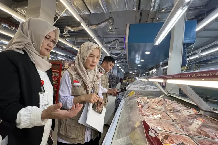Tim Badan Penyelenggara Jaminan Produk Halal (BPJPH) terus menggencarkan pengawasan produk yang beredar di tengah masyarakat. - Foto: Istimewa