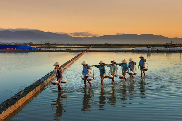  Keberpihakan Pada UMKM BRI Salurkan KUR 