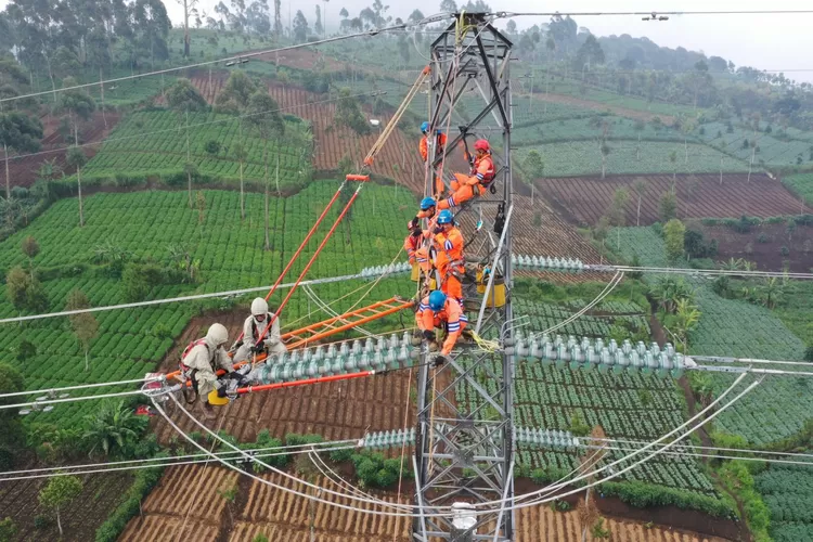 Ilustrasi pemeliharaan jaringan transmisi oleh petugas PLN