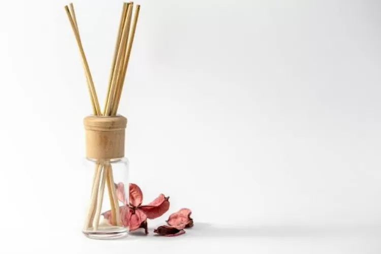 Dari Pakai Baking Soda hingga Reed Diffuser, Ini Cara Simpel Usir Bau Apek di Ruangan