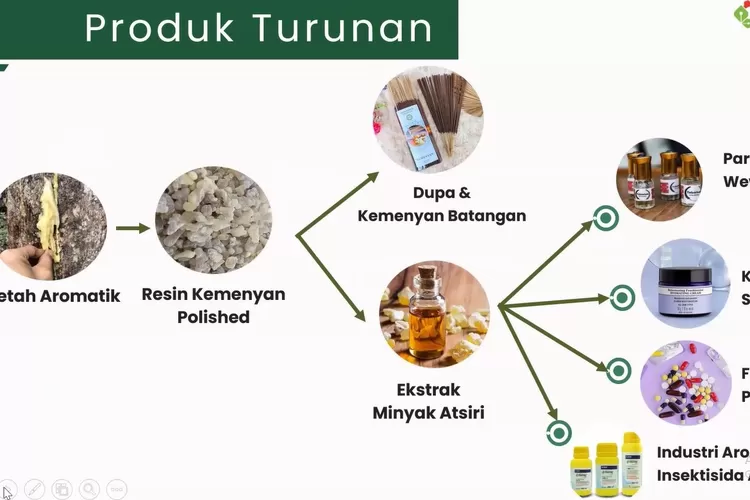Minyak Atsiri Dikembangkan, Kemenperin Pacu IKM Hilirisasi Kemenyan
