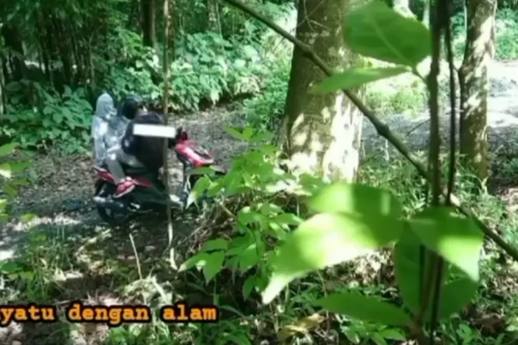 Viral Sepasang Remaja Tertangkap Camera Trap Diduga Lakukan Aksi Mesum Di Atas Motor Dalam Hutan