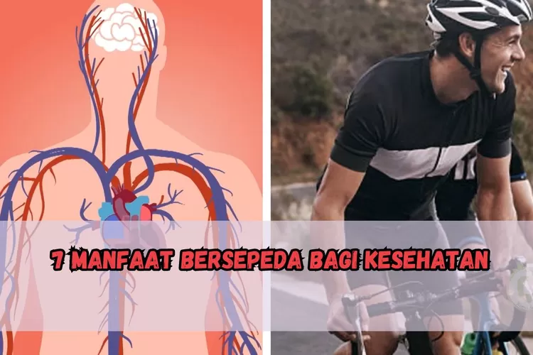 Bersepeda Bisa Bikin Langsing Loh Ini Dia 7 Manfaat Bersepeda Bagi