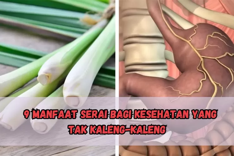 Bukan Sekedar Bumbu Dapur Biasa Simak Manfaat Serai Bagi Kesehatan Yang Tak Kaleng Kaleng