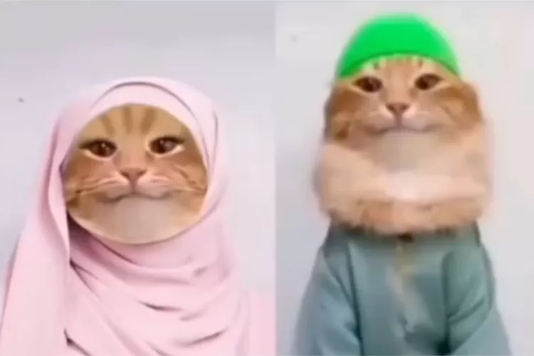 viral. lagu tob tobi tob tob (charlotte___katakuri)