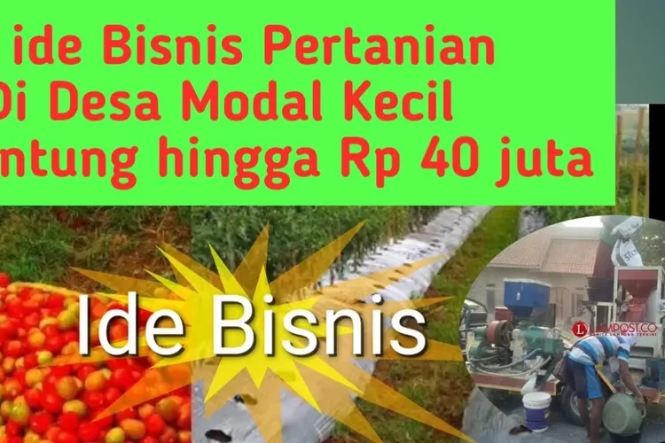 Usaha Pertanian Tak Ada Matinya Ini Ide Bisnis Pertanian Di Desa