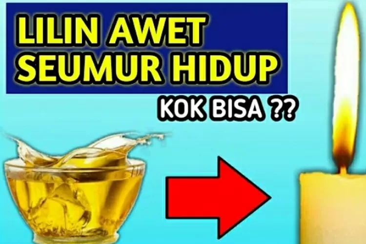 Bisa Jadi Api Abadi! Begini Cara Membuat Lilin Awet Seumur Hidup Dan ...