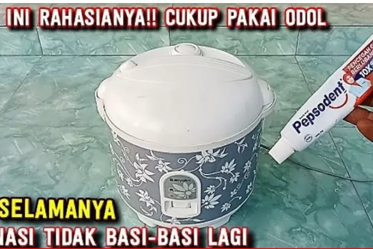 Inilah Sumber Utama Penyebab Nasi Cepat Basi Dalam Magic Com Atau Rice ...