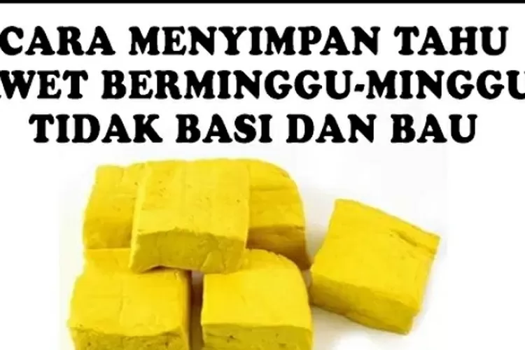 Cara Praktis Menyimpan Tahu Agar Tahan Lama Dan Tidak Bau Ternyata Cuma Pakai Bahan Rumahan Ini 9493